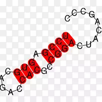 ƽ����Ƽ��������������-������