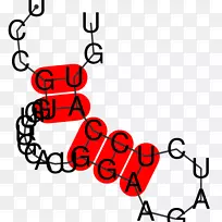 ������������Ϊ��ͼ���˽ڿ�ͨ-�����ѧ-������