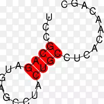 ƽ����Ƽ�����������ͼ���-������