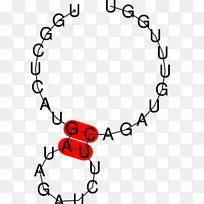 手镯珠宝宝石钻石项链珠宝首饰-空若网 手镯珠宝宝石钻石项链珠宝首饰-空若网