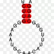 耳环珍珠宝石珠宝项链宝石-空若网 耳环珍珠宝石珠宝项链宝石-空若网