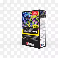 ɺ������ʳ��������������-����-������