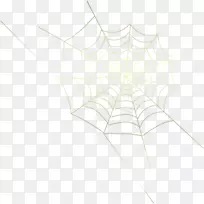 蜘蛛网对称线型-蜘蛛-空若网 蜘蛛网对称线型-蜘蛛-空若网