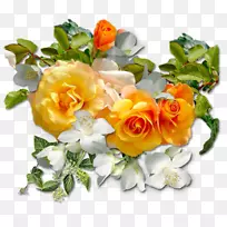 花园玫瑰,png图片,剪贴画,花卉博客-花-空若网 花园玫瑰,png图片,剪贴画,花卉博客-花-空若网