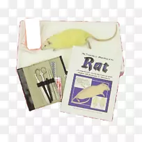 纸制品.蛇贴材料-空若网 纸制品.蛇贴材料-空若网