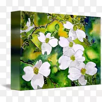 山茱萸帆布花纹树花-空若网 山茱萸帆布花纹树花-空若网