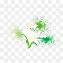 ���-�����ɲ�-������