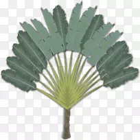 �����������pngͼƬ-������