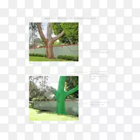 草坪产品设计植物茎草.设计-空若网 草坪产品设计植物茎草.设计-空若网