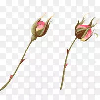 º£Ì²Ãµ¹å»¨°êË®²Ê».ÊÖ»æË®²Ê»Ãµ¹å¹Ç-¿ÕÈôÍø º£Ì²Ãµ¹å»¨°êË®²Ê».ÊÖ»æË®²Ê»Ãµ¹å¹Ç-¿ÕÈôÍø