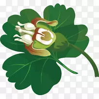 ���ؼ�����-��Ҷ�ͻ���-������