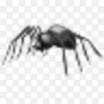 昆虫蜘蛛技术-空若网 昆虫蜘蛛技术-空若网