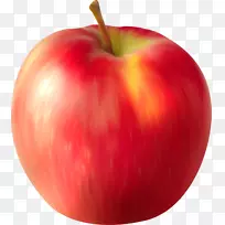 ƻ���¸���˹��������������-���ƻ��-������