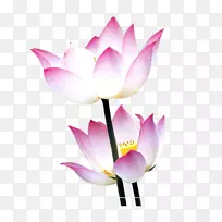 荷花莲花中秋节-莲花-空若网 荷花莲花中秋节-莲花-空若网