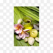 另类健康服务天然食物医药超级食品-油类海报图片-空若网 另类健康服务天然食物医药超级食品-油类海报图片-空若网