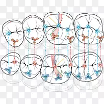 剪贴画插画线点产品线-空若网 剪贴画插画线点产品线-空若网