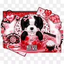 狗繁殖小狗喜欢鼻子-有创造力的狗-空若网 狗繁殖小狗喜欢鼻子-有创造力的狗-空若网