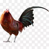 ������������ɢ��ѧ����ѧ������֤�������⣬������Ϸcoq-���ɫ��-������