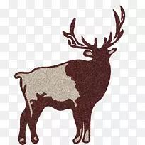 驯鹿麋鹿鹿角陆生动物野生动物驯鹿-空若网 驯鹿麋鹿鹿角陆生动物野生动物驯鹿-空若网