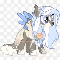 猫科动物-空若网 猫科动物-空若网