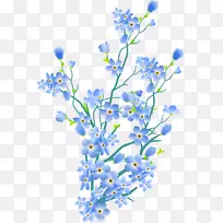 切花,嫩枝,花瓣,开花植物-花-空若网 切花,嫩枝,花瓣,开花植物-花-空若网