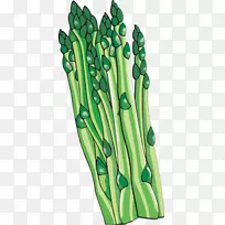 一束芦笋蔬菜剪贴画.芦笋枝叶-空若网 一束芦笋蔬菜剪贴画.芦笋枝叶-空若网