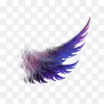 ˮţ��������-��ɫ���������-������