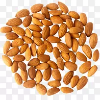 ������ʻ���֬������-������