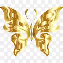 蝴蝶金昆虫面具剪贴画.蝴蝶剪贴画背景-空若网 蝴蝶金昆虫面具剪贴画.蝴蝶剪贴画背景-空若网