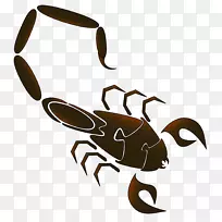 ��������������ʮ�������ѧ-������