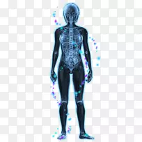 迷走神经副交感神经系统自主神经系统-女性身体-空若网 迷走神经副交感神经系统自主神经系统-女性身体-空若网