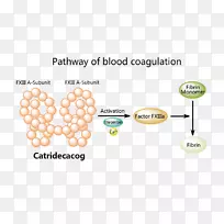 产品设计标志字体设计-空若网 产品设计标志字体设计-空若网