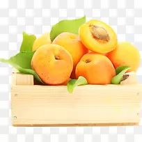 水果杏食柿子桌面壁纸-晚安-空若网 水果杏食柿子桌面壁纸-晚安-空若网