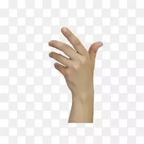 ְҵ����Ĵָ�����з���-������