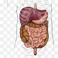 影像摄影视频腹部-空若网 影像摄影视频腹部-空若网