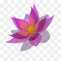 开花植物图形植物.屈辱-空若网 开花植物图形植物.屈辱-空若网