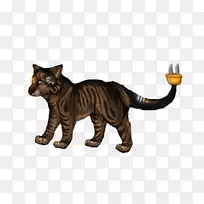 胡须猫科动物尾巴野生动物母鸡种-空若网 胡须猫科动物尾巴野生动物母鸡种-空若网