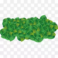 ´ºÂÌÝ«ÜÄÒ¶Êß²Ë×ÔÈ»±£»¤Çø-¿ÕÈôÍø ´ºÂÌÝ«ÜÄÒ¶Êß²Ë×ÔÈ»±£»¤Çø-¿ÕÈôÍø