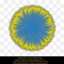 �л������-������