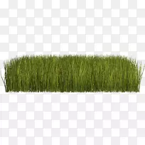 ��pngͼƬ���������ݱ�ֲ���ƺ��-������