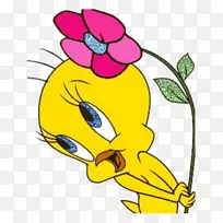 ������ף���տ�������-����-������