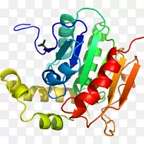 剪贴画蔬菜有机体系列-蔬菜-空若网 剪贴画蔬菜有机体系列-蔬菜-空若网