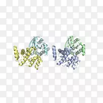 人体珠宝字体产品-智人-空若网 人体珠宝字体产品-智人-空若网