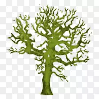 保险杠贴纸Amazon.com标记废物回收-神奇的树木剪贴画-空若网 保险杠贴纸Amazon.com标记废物回收-神奇的树木剪贴画-空若网