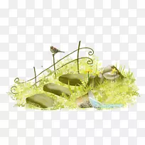 麦弗莱草玉米产品设计-星光元素-空若网 麦弗莱草玉米产品设计-星光元素-空若网