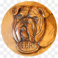 Ӣ����ţȮ-������