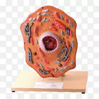 产品设计下巴设计-空若网 产品设计下巴设计-空若网