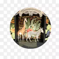 ʥ����װ��Ʒ����Ӱ�Ӻ�-������