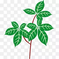 剪贴画室内植物区系开花植物-植物-空若网 剪贴画室内植物区系开花植物-植物-空若网