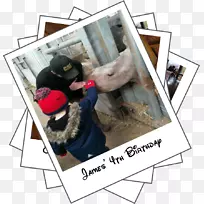 生日派对南湖野生动物园人类行为训练-生日-空若网 生日派对南湖野生动物园人类行为训练-生日-空若网